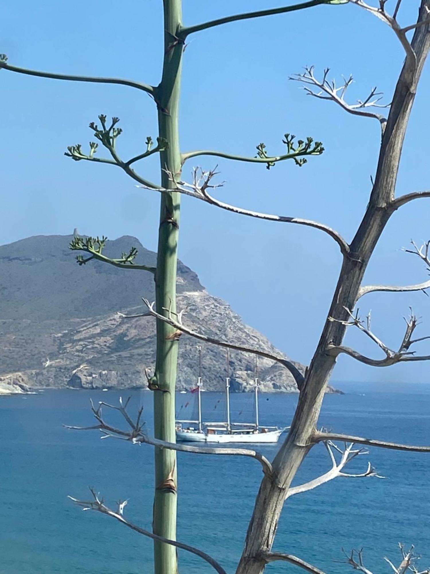 Casa Energia Del Cabo. San Jose Cabo De Gata. Villa Eksteriør bilde